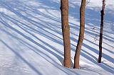 Snow Shadows_13376